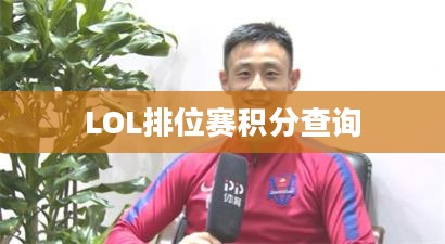 LOL排位赛积分查询，掌握游戏进程的关键