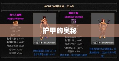 DNF男街霸装备选择,护甲的奥秘 DNF男街霸装备选择,护甲的奥秘