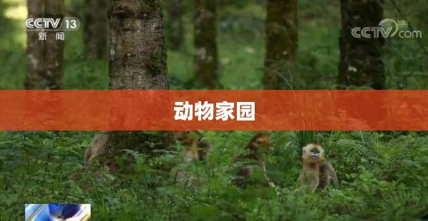 动物家园，和谐共生的生态乐园