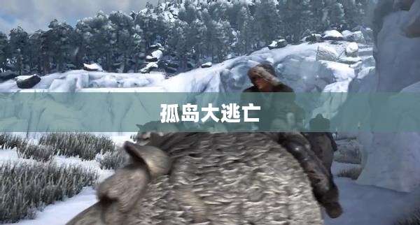 孤岛大逃亡,生存与希望的较量 孤岛大逃亡,生存与希望的较量