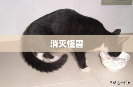 消灭怪兽，人类的勇气与智慧之战