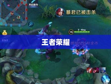 王者荣耀暴君刷新时间详解