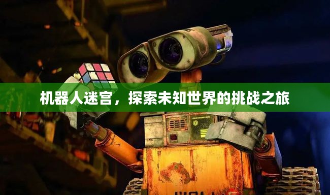 机器人迷宫,探索未知世界的挑战之旅 机器人迷宫,探索未知世界的挑战之旅