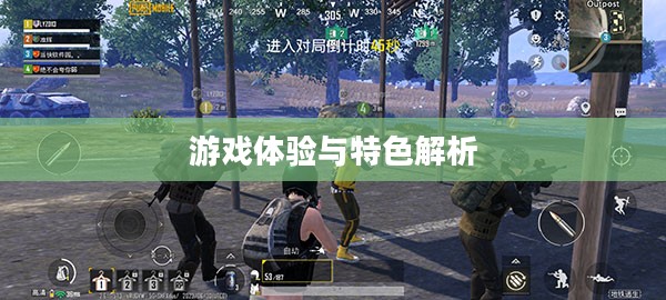 刺激战场国际服iOS版本，游戏体验与特色解析