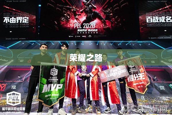 荣耀之路，JDG夺冠之路的辉煌篇章
