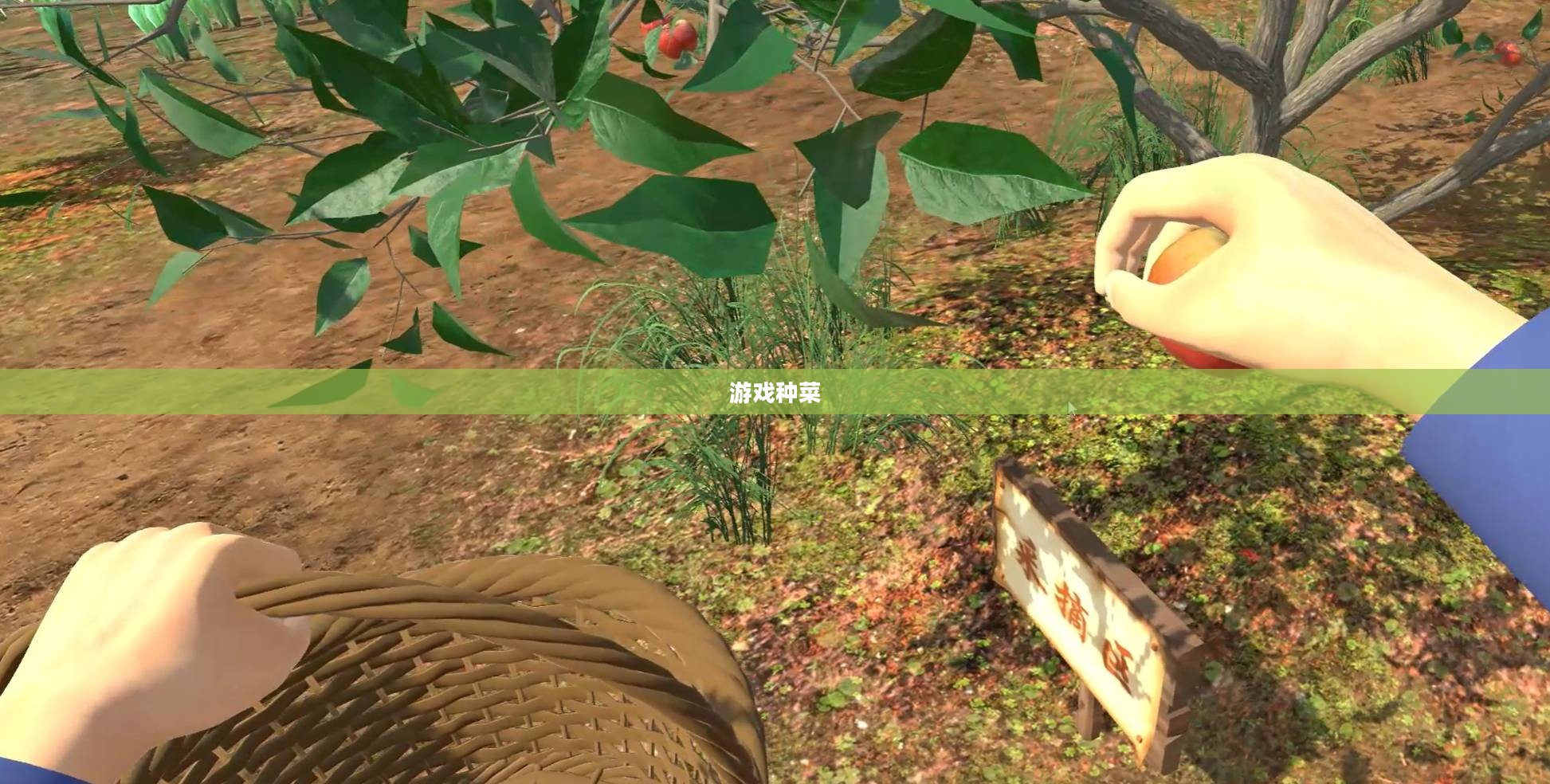 游戏种菜，虚拟与现实的绿色融合