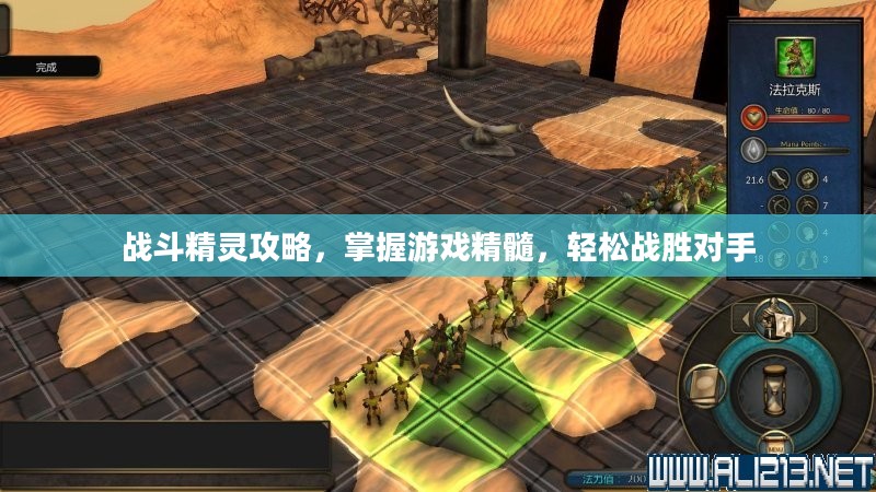 战斗精灵攻略，掌握游戏精髓，轻松战胜对手
