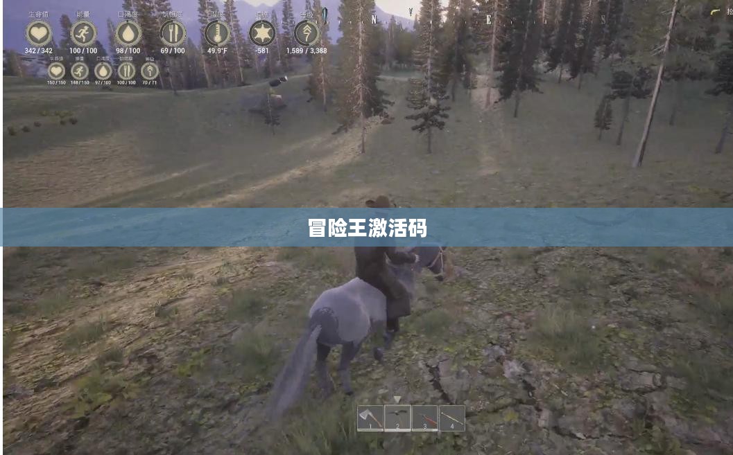 冒险王激活码，探索游戏世界的神秘钥匙