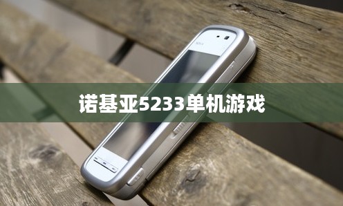 诺基亚5233单机游戏,经典之作的魅力与体验 诺基亚5233单机游戏,经典之作的魅力与体验