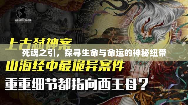 死魂之引，探寻生命与命运的神秘纽带