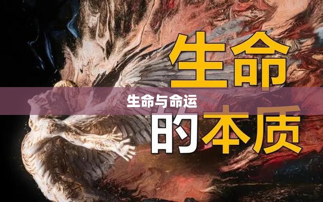 死魂之引,探寻生命与命运的神秘纽带 死魂之引,探寻生命与命运的神秘纽带