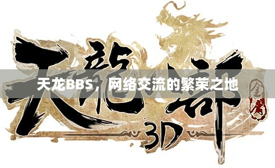 天龙BBS，网络交流的繁荣之地