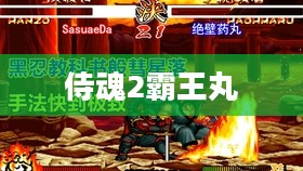 侍魂2霸王丸地狱变,英雄重生与宿命的决战 侍魂2霸王丸地狱变,英雄重生与宿命的决战