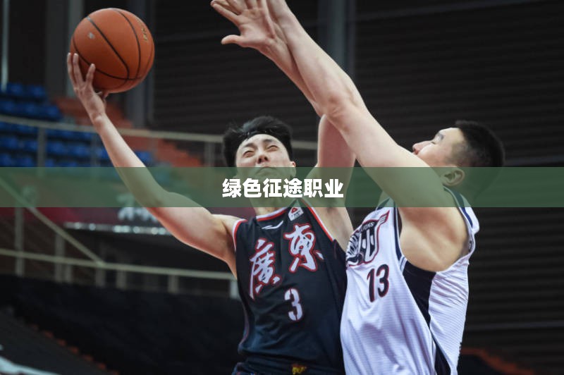绿色征途职业，探索可持续发展的未来之路