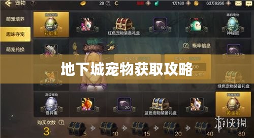 地下城宠物获取攻略，一步步带你了解如何获得心仪的宠物