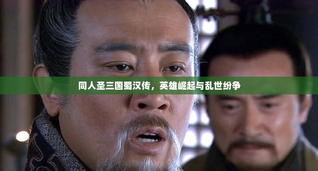 同人圣三国蜀汉传,英雄崛起与乱世纷争 同人圣三国蜀汉传,英雄崛起与乱世纷争