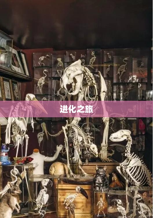 老鼠加点，一场意想不到的进化之旅