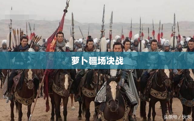 保卫萝卜挑战19，深入敌后，决战萝卜疆场