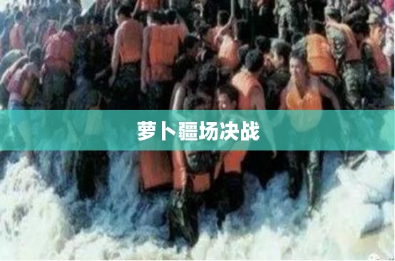 保卫萝卜挑战19,深入敌后,决战萝卜疆场 保卫萝卜挑战19,深入敌后,决战萝卜疆场