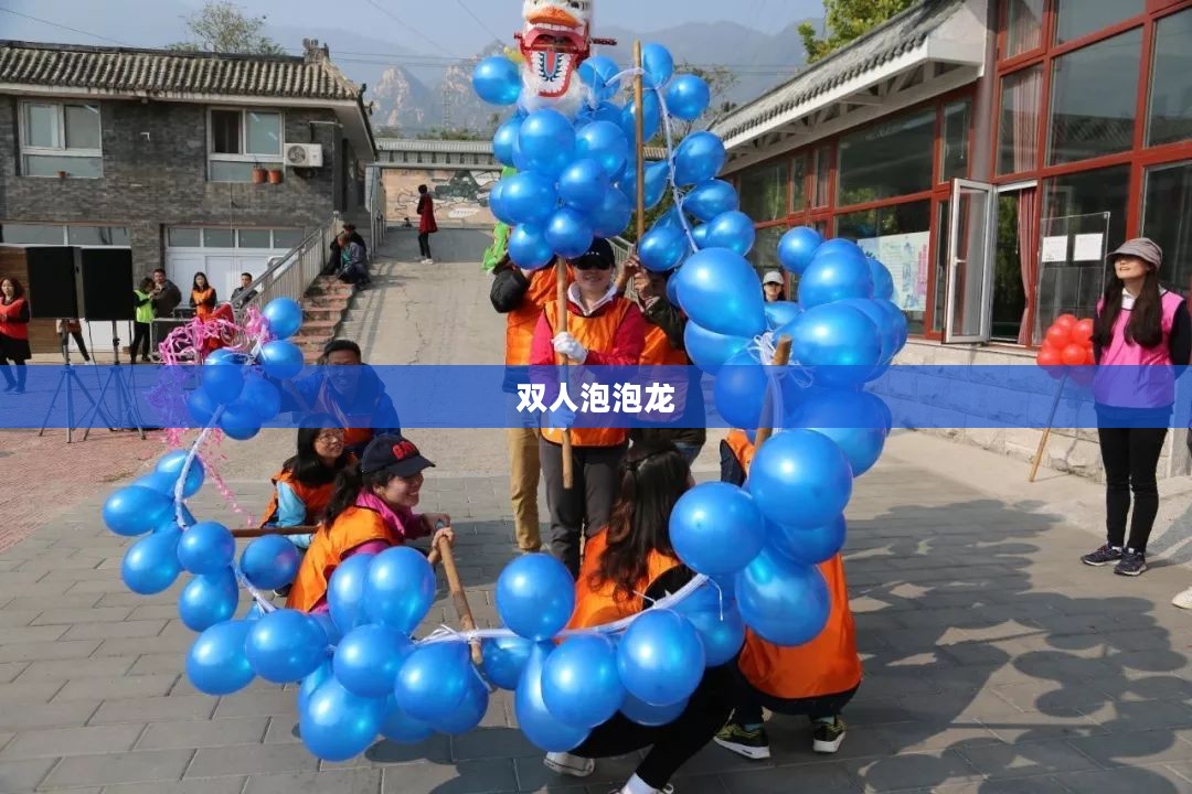 双人泡泡龙,合作与竞技的完美结合 双人泡泡龙,合作与竞技的完美结合