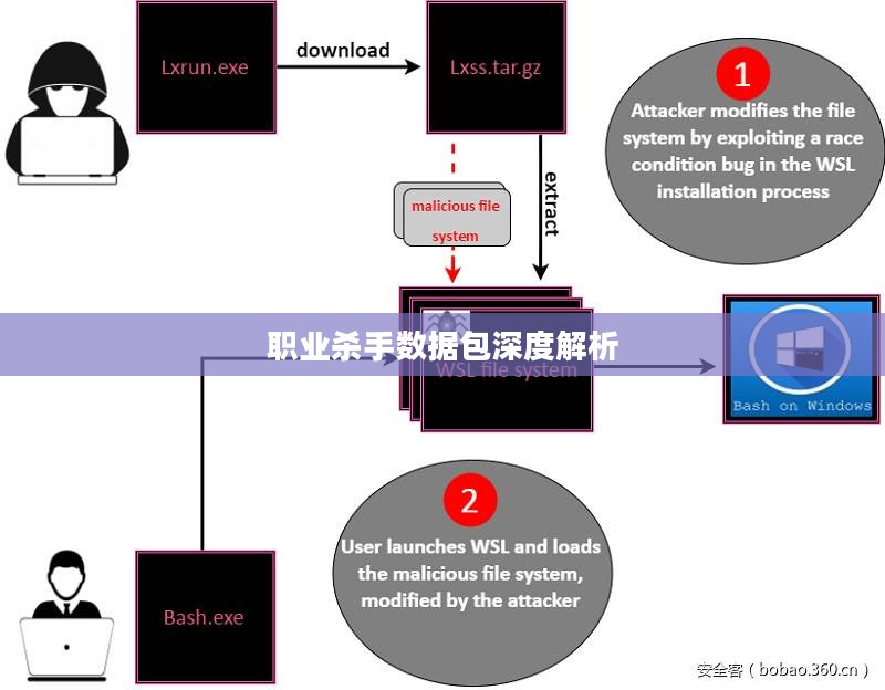 职业杀手数据包的深度解析与应用探讨