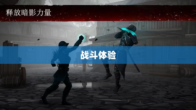 暗影格斗3官方正版，热血重燃的战斗体验