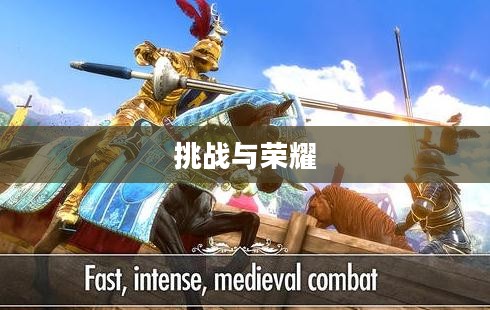 骑士崛起的荣耀与挑战