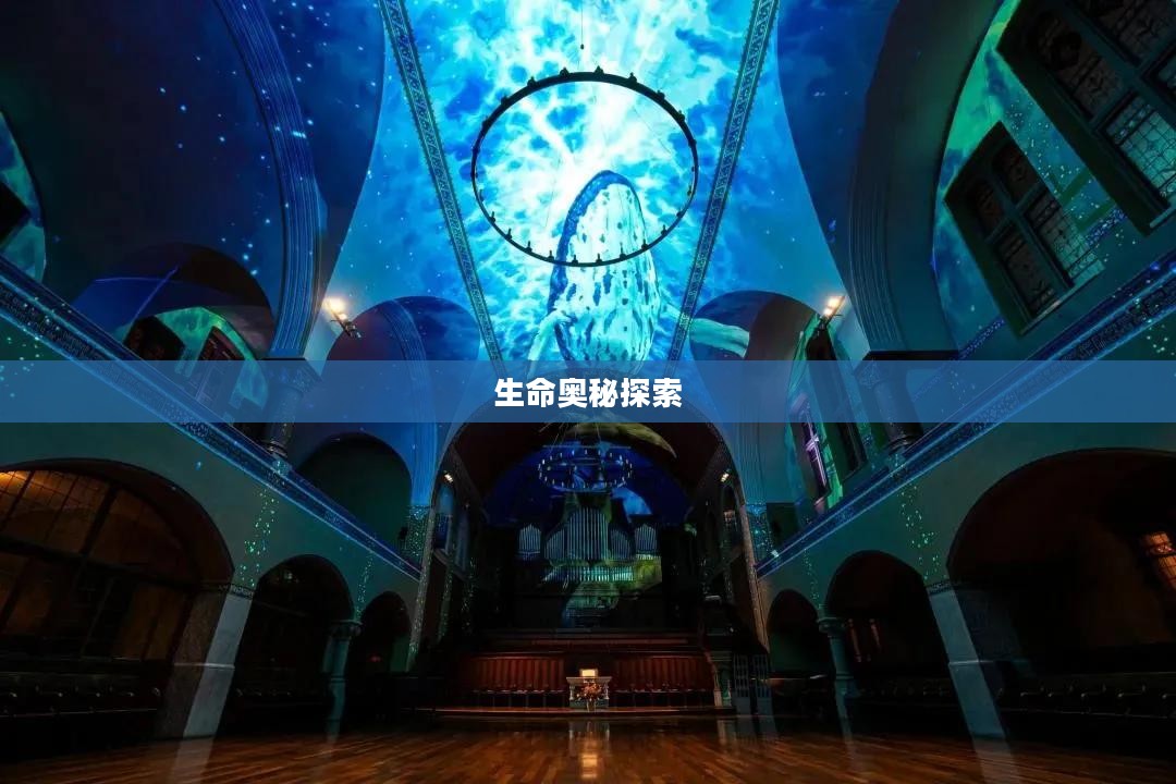 洞血之谜，探索未知的生命奥秘