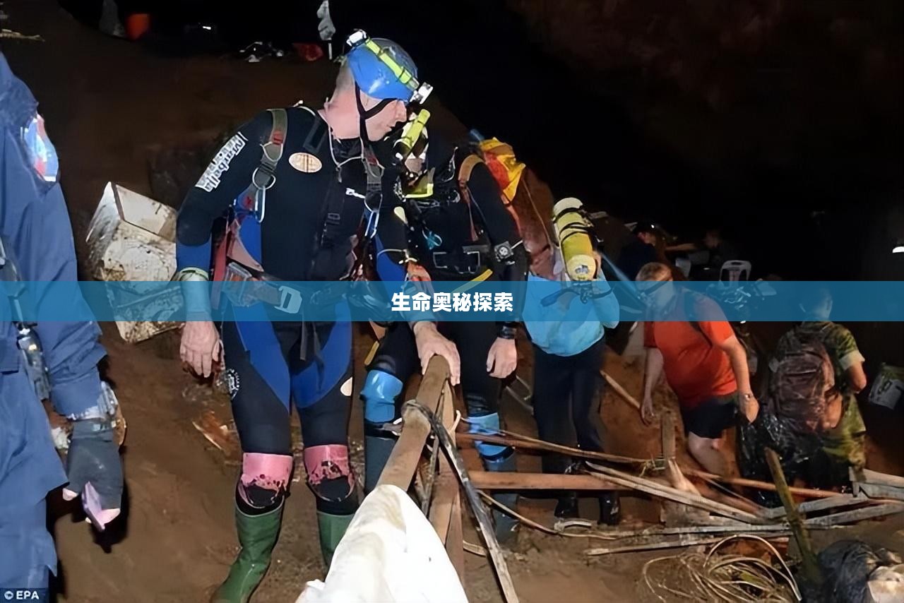 洞血之谜,探索未知的生命奥秘 洞血之谜,探索未知的生命奥秘
