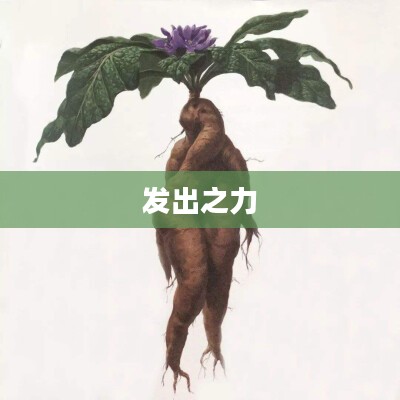 曼德拉草的低语与发出之力