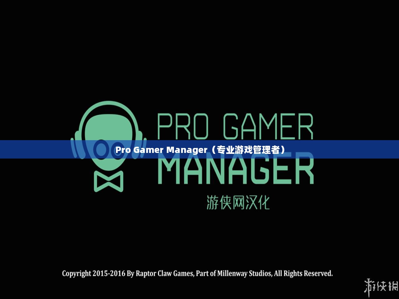 Pro Gamer Manager,游戏精英管理的挑战与机遇 Pro Gamer Manager,游戏精英管理的挑战与机遇