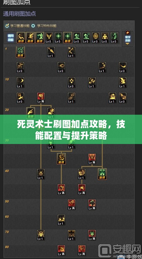 死灵术士刷图加点攻略，技能配置与提升策略