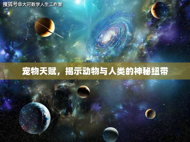宠物天赋，揭示动物与人类的神秘纽带