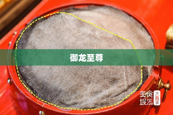 御龙至尊,传奇中的王者 御龙至尊,传奇中的王者