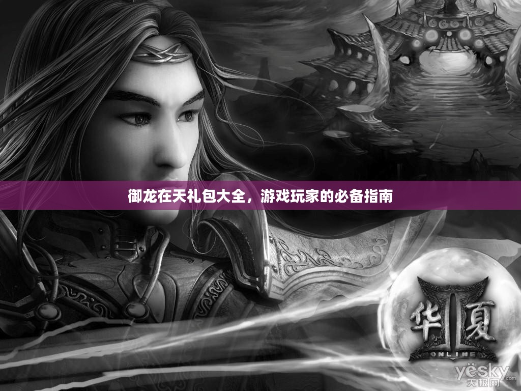 御龙在天礼包大全，游戏玩家的必备指南