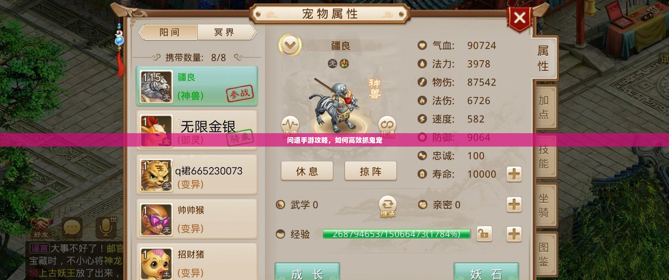 问道手游攻略，如何高效抓鬼宠