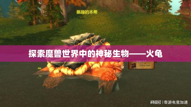 探索魔兽世界中的神秘生物——火龟