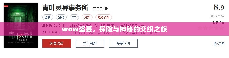 wow盗墓,探险与神秘的交织之旅 wow盗墓,探险与神秘的交织之旅