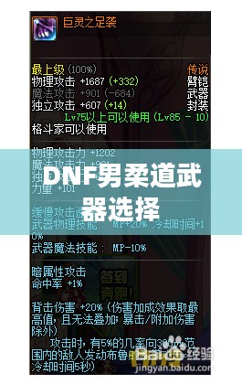 DNF男柔道武器选择指南——探讨男柔道带什么武器最佳 DNF男柔道武器选择指南——探讨男柔道带什么武器最佳