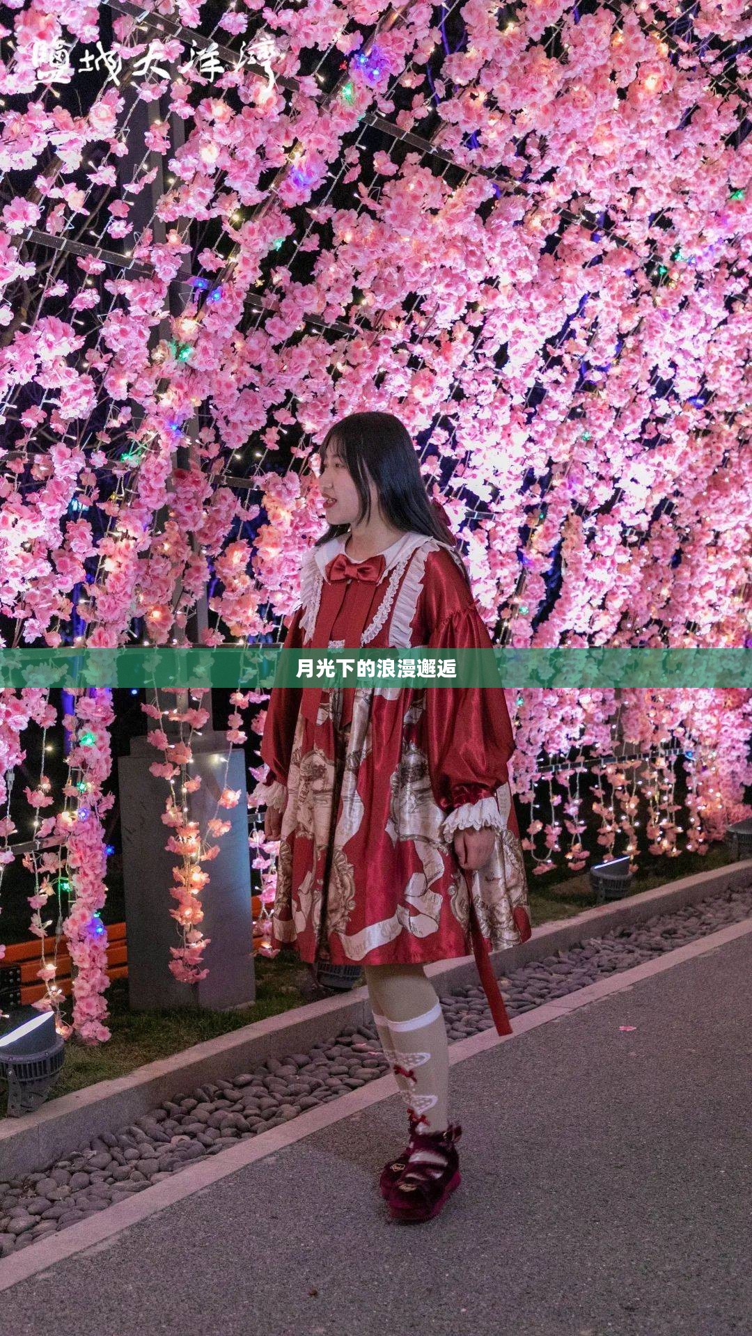 夜情人，月光下的浪漫邂逅