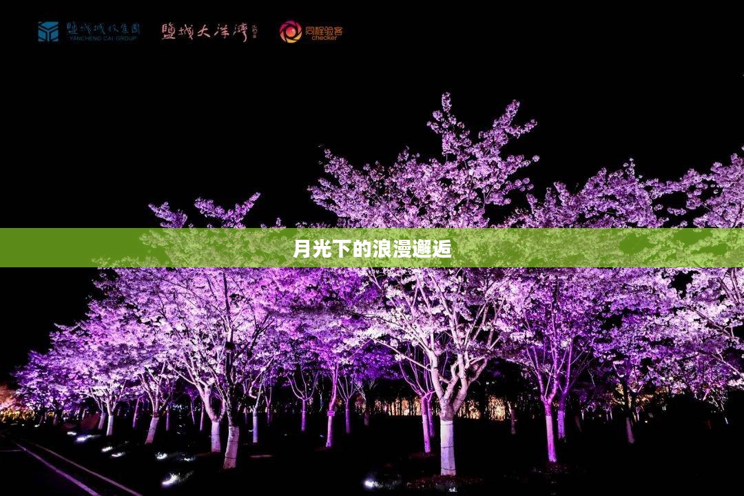 夜情人,月光下的浪漫邂逅 夜情人,月光下的浪漫邂逅