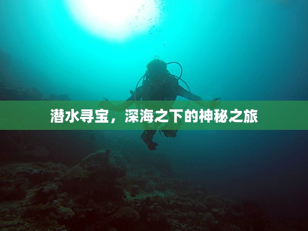 潜水寻宝，深海之下的神秘之旅