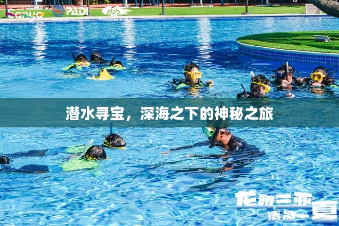 潜水寻宝，深海之下的神秘之旅
