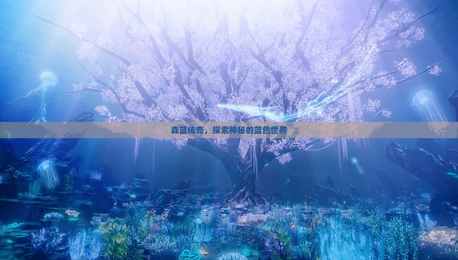 森蓝传奇，探索神秘的蓝色世界