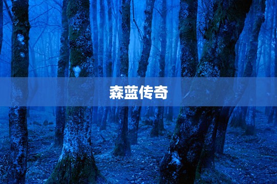森蓝传奇,探索神秘的蓝色世界 森蓝传奇,探索神秘的蓝色世界