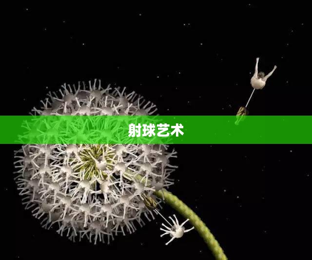 射球的艺术与魅力