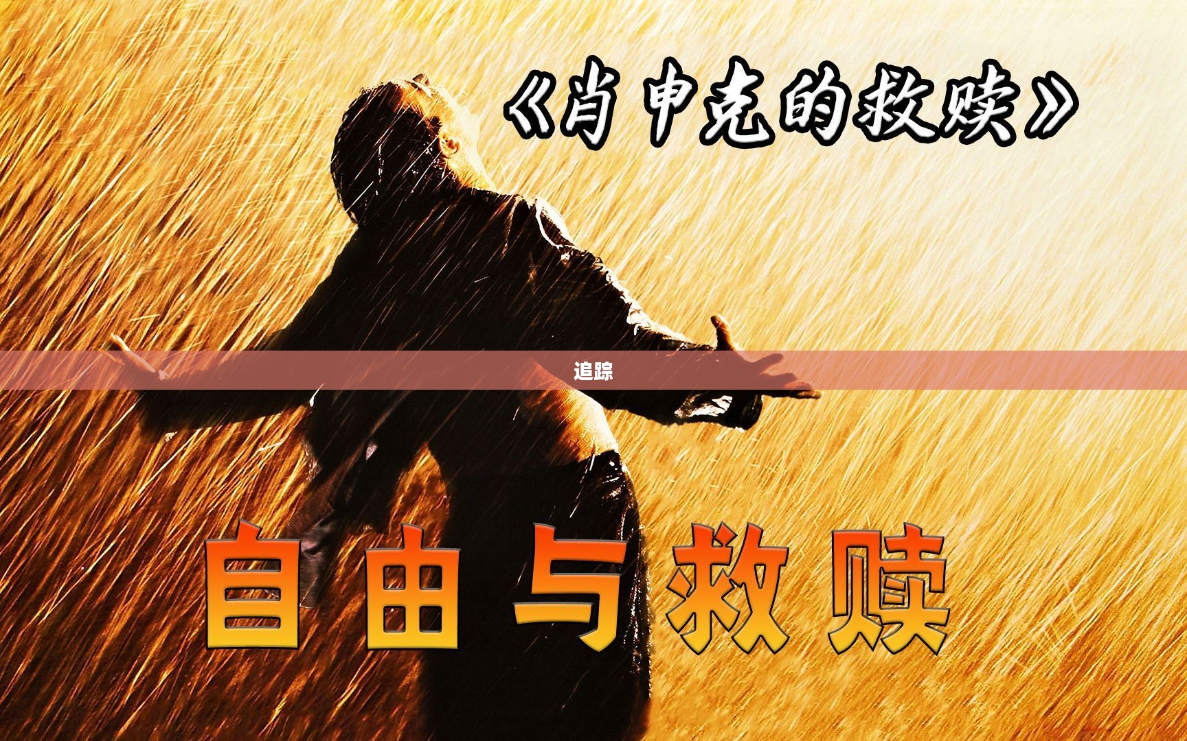 刀疤在哪抓，一场追踪与自我救赎的历程