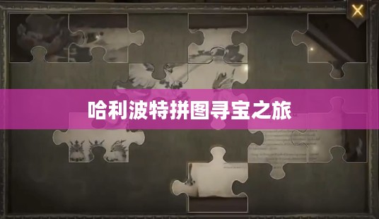 哈利波特拼图寻宝之旅，第10与第22线索的奇幻冒险
