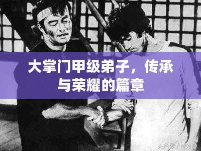大掌门甲级弟子,传承与荣耀的篇章 大掌门甲级弟子,传承与荣耀的篇章