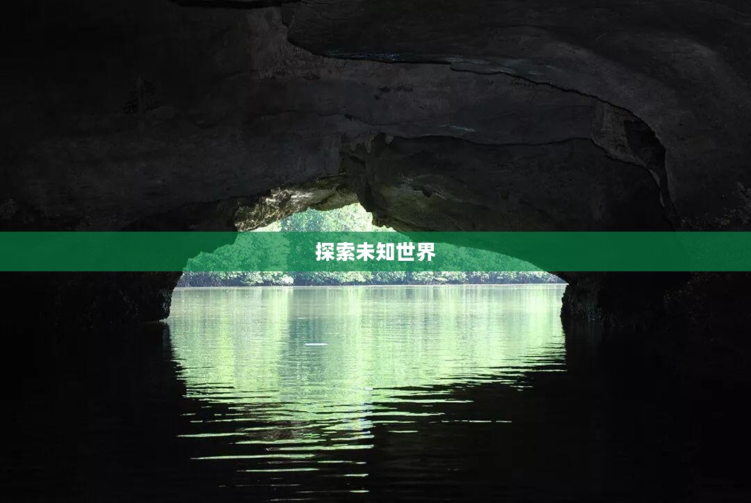 打开100个门攻略,探索未知世界的钥匙 打开100个门攻略,探索未知世界的钥匙